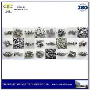Tungsten Carbide No-Standard Customized Product From Manufacturer