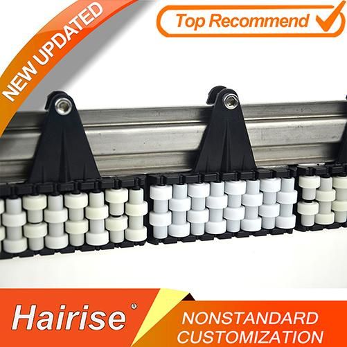 Hairise Roller Guide for Curve Conveyor in Bottle Industry Wtih ISO& CE &FDA Certificate