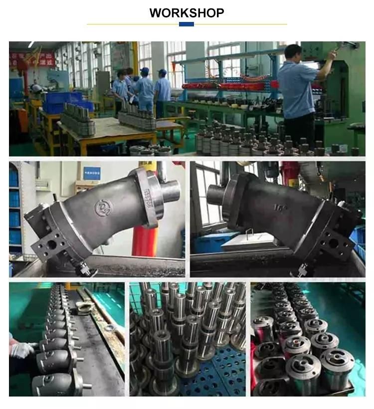 Uchida/NACHI/Linde/Yuken/Dakin/Vickers/Sauer/ Hitachi/Cat/Parker Cylinder Block/Piston/Valve Plate/Swash Plate for Hydraulic Motor Spars Parts