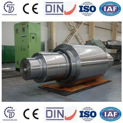 China Xingtai Mill Roll Most Popular Cast Iron Roll Sgp Roll