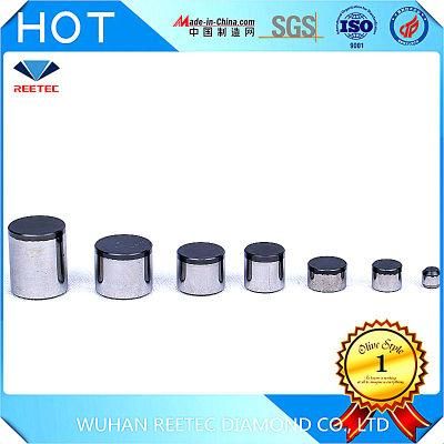 Oil Field and Water Well Drilling PDC Cutters