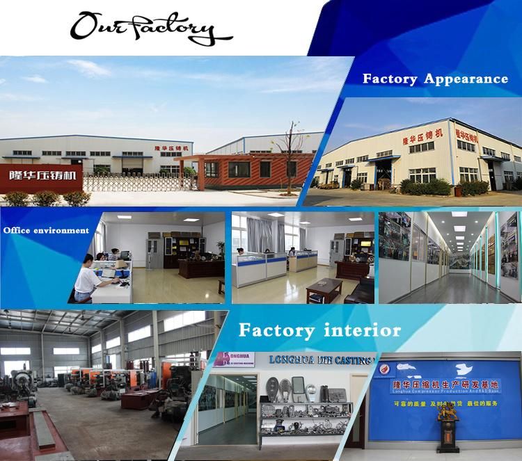 Monthly Deals Competitive Price Cold Chamber Aluminum Injection Die Casting Machine Bengbu Long Hua Production Experience