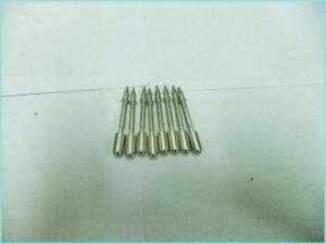 Long Shape Ss Screw Without Thread