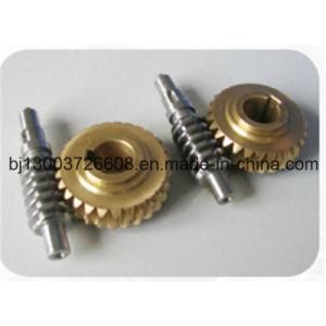 CNC Machining Worm Wheel for Gear Box with Gear Shaft