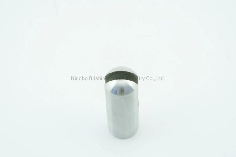 Stainless Steel Balustrades and Handrail Fittings