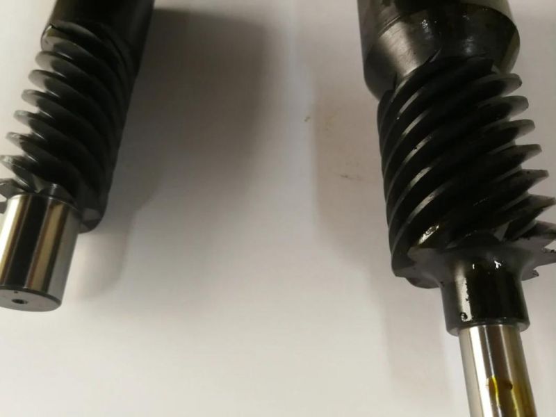 High Quality Customization Worm Gear
