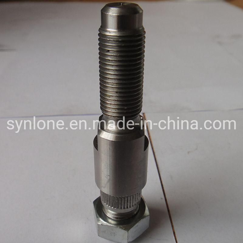 OEM Customized Steel/Iron Worm Shaft for Machinery