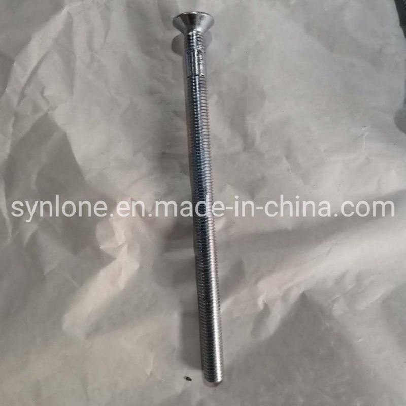 OEM Customized Stainless Steel Machining Screw for Machinery