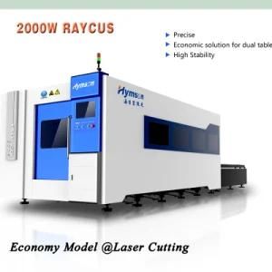 Raycus 2000W Fiber Laser Cutting Machine of Metal