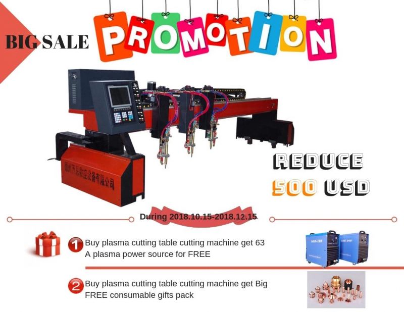 Cheap Chinese Gantry Type Flame Plasma CNC Metal Cutting Equipment