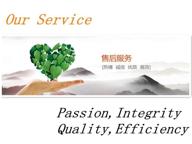 Good Quality Polishing Carbide Rods From Zhuzhou Jinding