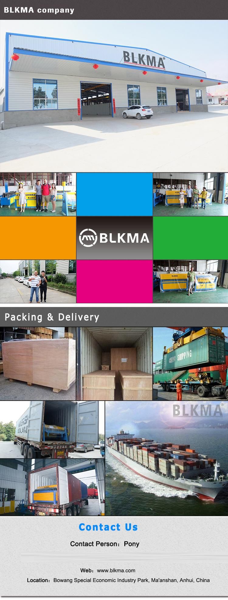 Blkma Factory Directly Supply Plasma CNC Cutting Machine