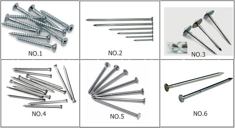 Wire Making Polished Nail Making Machines 2 to 6 H Price