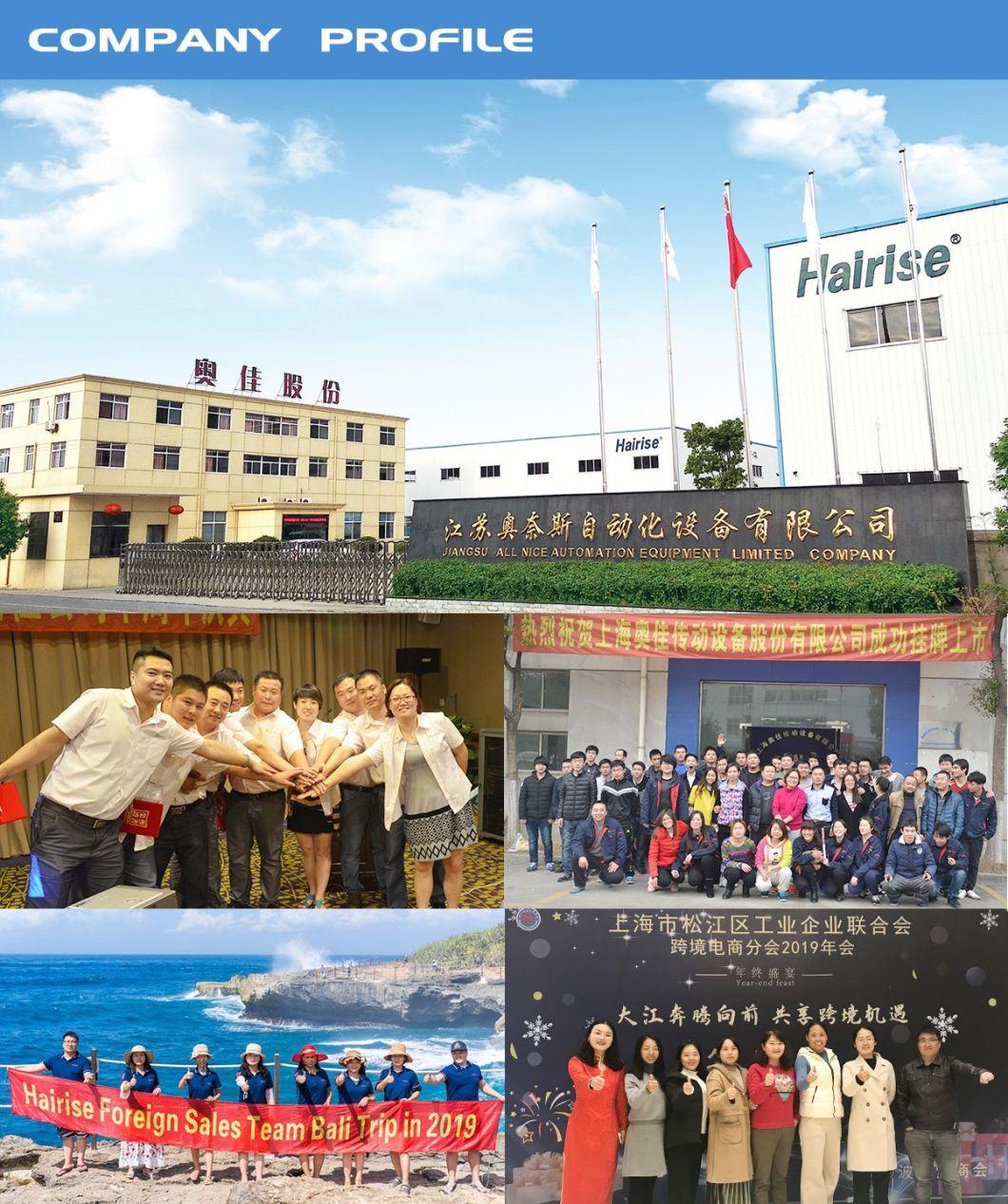 Hairise Roller Guide for Curve Conveyor in Bottle Industry Wtih ISO& CE &FDA Certificate