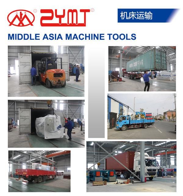 Hydraulic Guillotine Shearing Machine with CE Certification