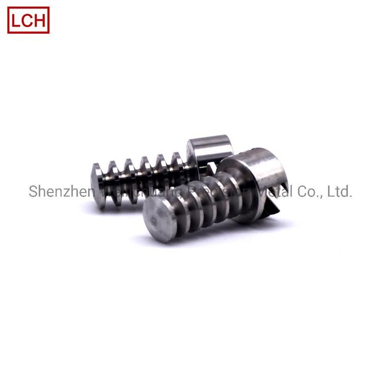 CNC Automatic Lathe Custom Made Titanium Parts