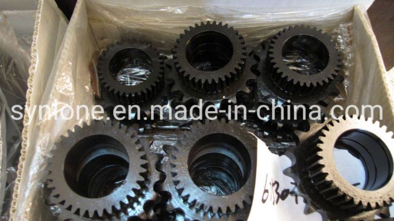 OEM Customized Steel/Iron Worm Shaft for Machinery