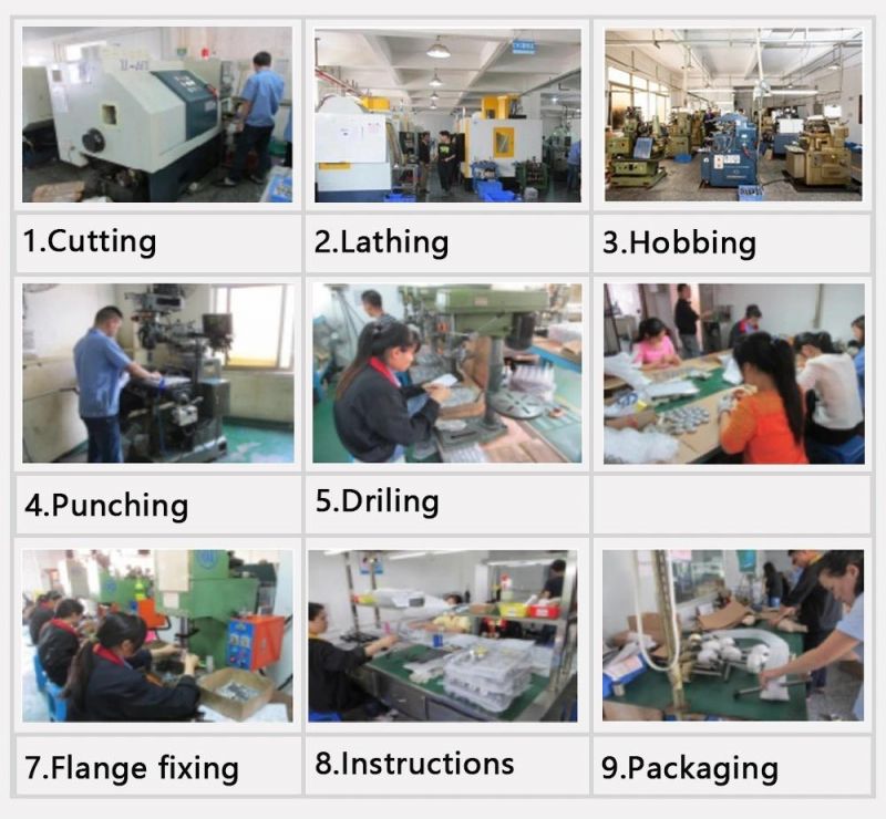 Ihf DIN Standard Casting Forging Bevel Worm Gear Pinion Helical Gears for Robots