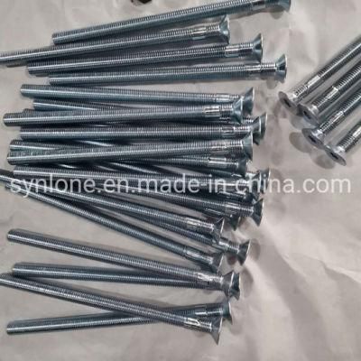 OEM Customized Galvanized Steel Screw for Machinery