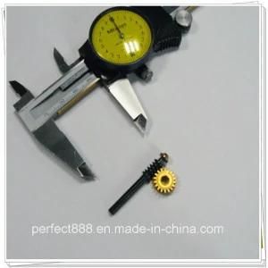 Precision Machining High Quality Brass Driving Screw and Worm