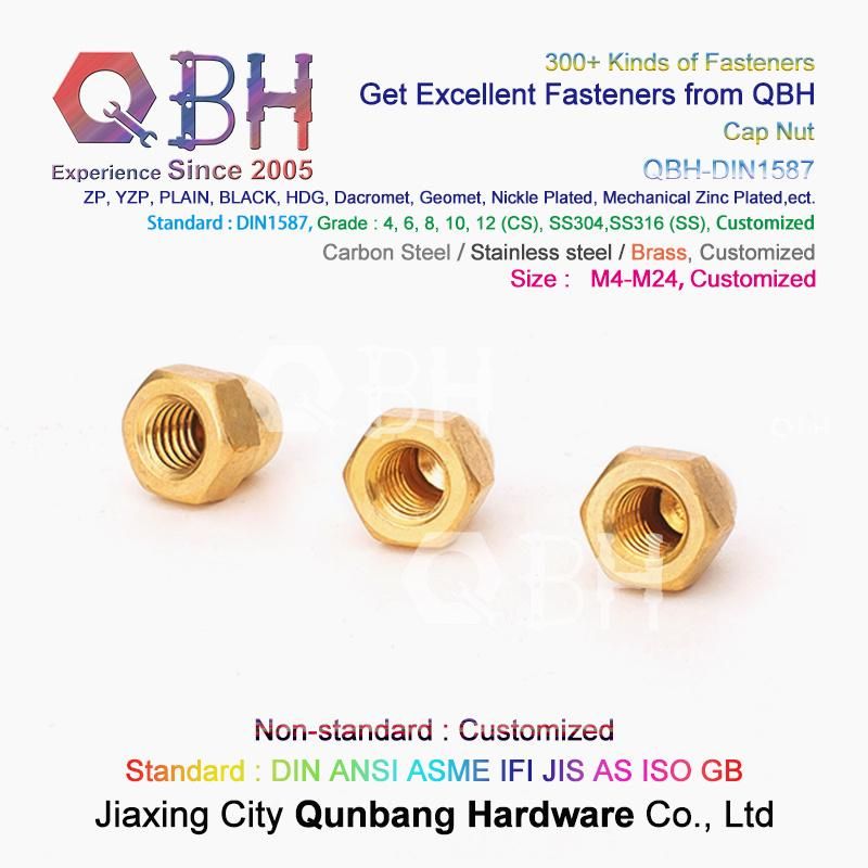 Qbh Carbon Steel Stainless Steel Nylon CS Ss DIN1587 DIN986 Hex Protection Domed Cover Cap Acorn Lock Nut Locknut Automobile Car Auto Spare Parts