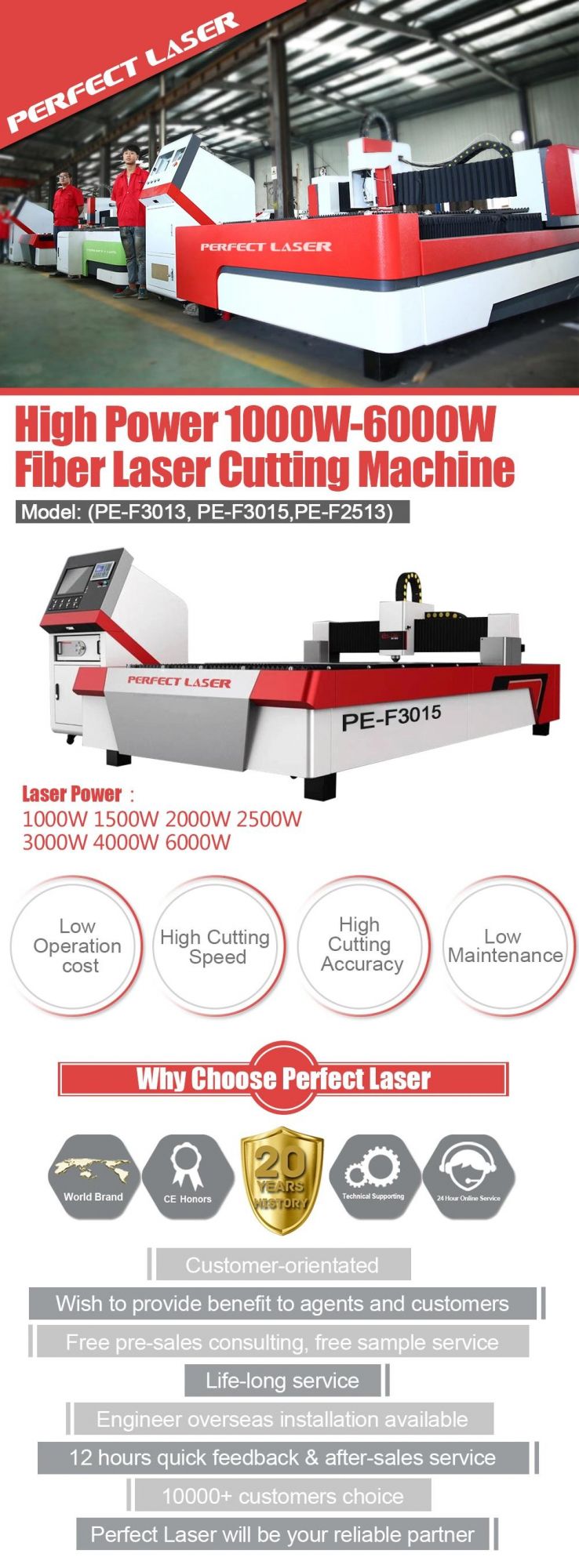 Best Price Metal Fiber Laser Cut Machine for Tool Processing