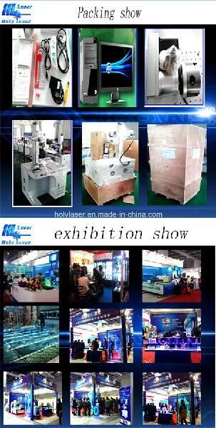 Fiber Laser Marking Machine for Metal Materials Hsgq-20W