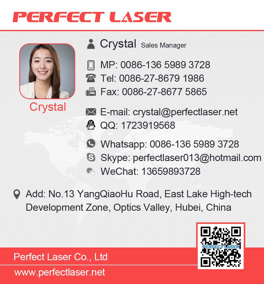 Handheld Number DOT Peen Marking Machine for Car Plate