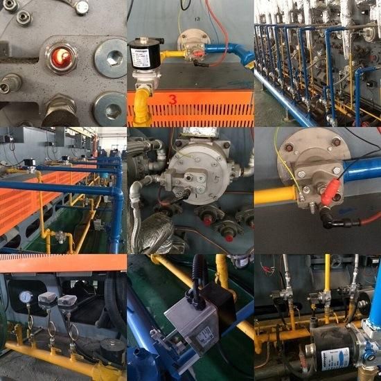 Hot Sale Continuous Mesh Belt Conveyor and Gas Heating Furnace