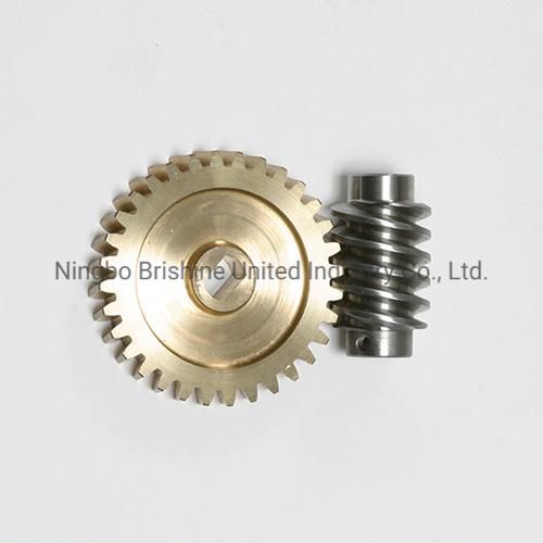 Small Mini Micro Brass Worm Gear Wheel Set Customized Manufacturer