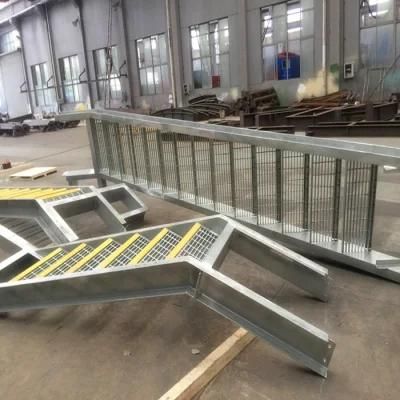 Steel Platform Accessories Ladders