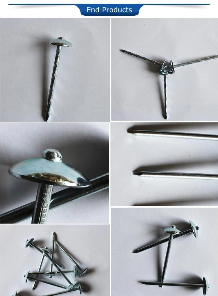 Professional Nail Machine to Make Galvanized Roofing Nail Roofing Nail Cap Making Machine