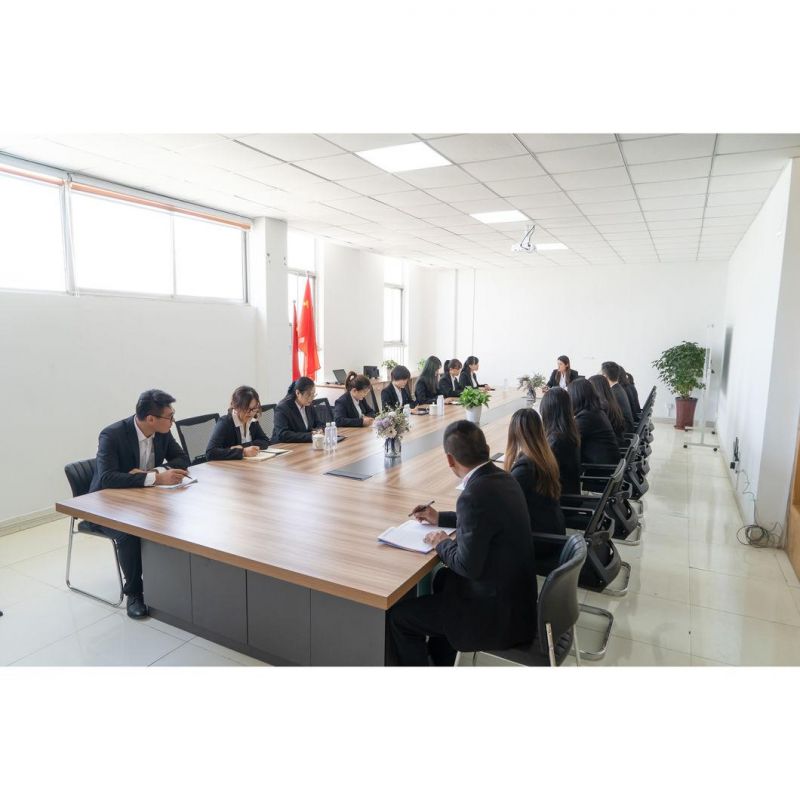 China Made Plasma and Flame CNC Cutting Machine