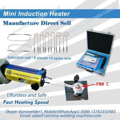 Portable Magnetic Induction Heater