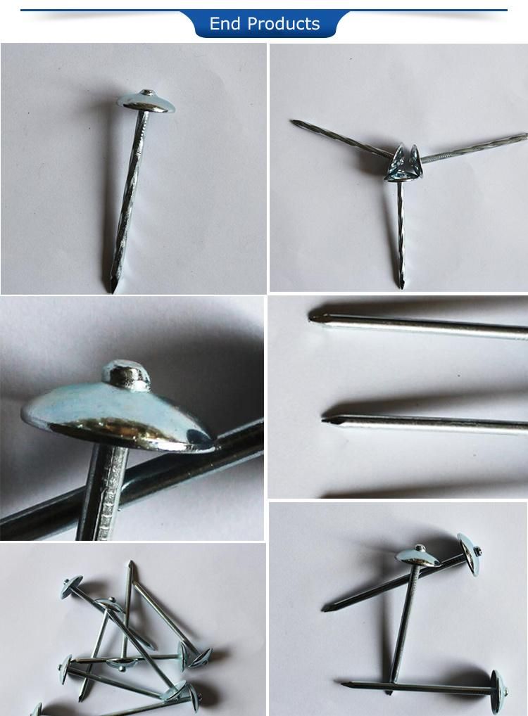 Low Cost Automatic Roofing Nail Making Machine Price in India Cheaper