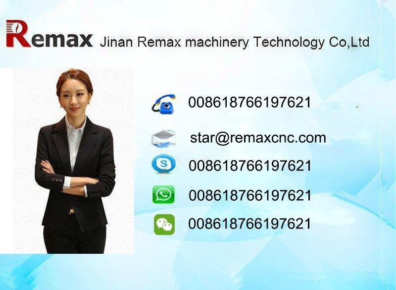 China Iron/ Stainless Steel/ Aluminum/ Copper CNC Gantry Plasma Cutting Machine/Plasma Cutter Remax 3060