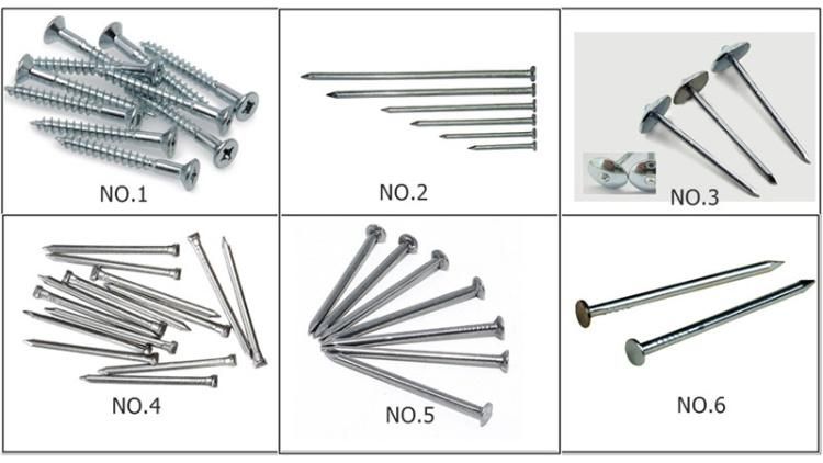 Various Types to Chose High Quality Small China Nail Making Machine