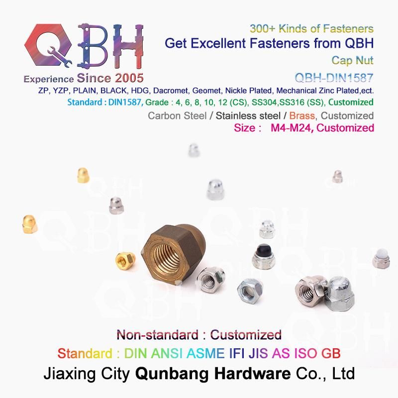 Qbh Carbon Steel Stainless Steel Nylon CS Ss DIN1587 DIN986 Hex Protection Domed Cover Cap Acorn Lock Nut Locknut Automobile Car Auto Spare Parts