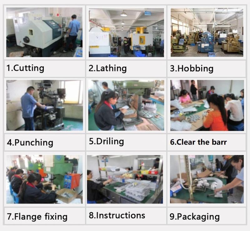 Ihf Precision Standard Customized Nylon POM Gears Spur Bevel Gear for Chemical Machinery
