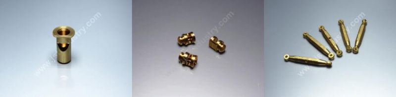 Micro Machining Parts Precision Small Diameter CNC Brass Parts Gear