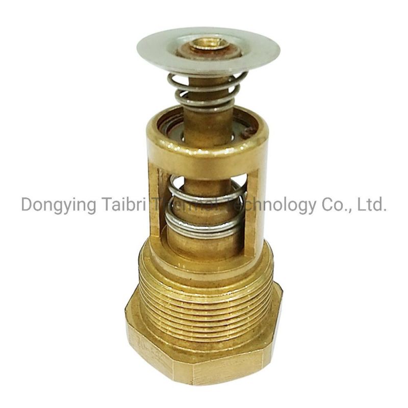 02250100-042 Blow Down Valve Replacement Spare Parts of Sullair Compressor