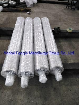 Stabilizer Roller Used for Continuous Hot DIP Galvanizing Line to Get High Qualified Galvanized Products