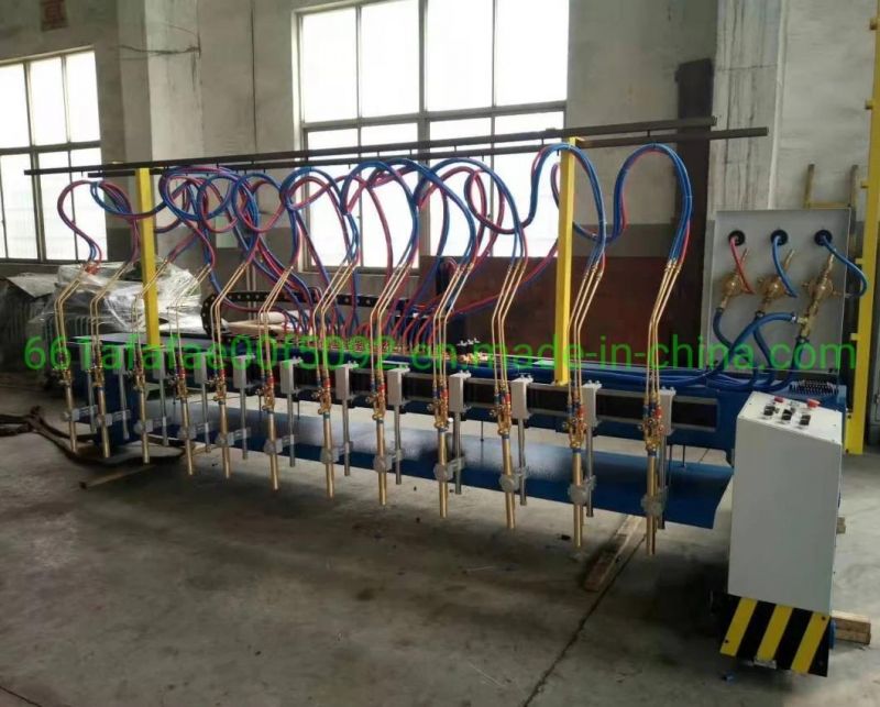CNC Strip Metal Sheet Flame Oxy Fuel Cutting Machine