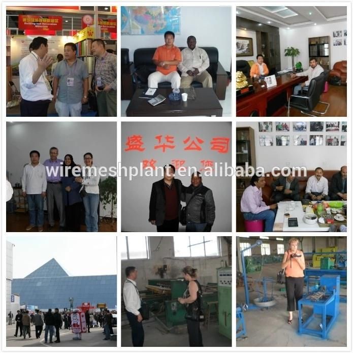 Best Price Welded Wire Mesh Machine (automatic)