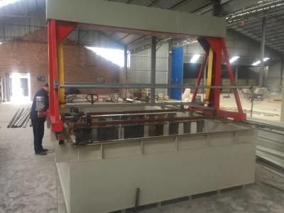 Linyi Wenbo Electroplating Plant/Equipment/Machine for Sale