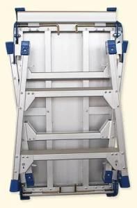 Aluminium Ladder