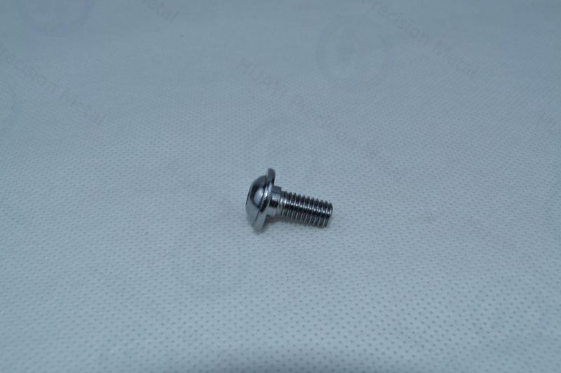 Cross Recessed Tapping Anodize Finish Stainless Steel Screw for Industrial Parts