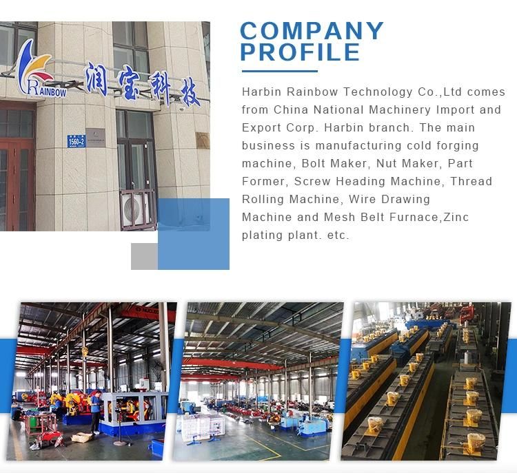 Continuous Conveyor Industrial Gas Controlled Mesh Belt Furnace/Heat Treatment Furnace