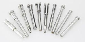 High Precision Mould Punch with Resonable Price