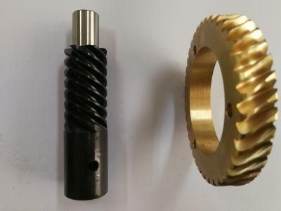 Set Transmission Parts Steel Worm and Worm Gear